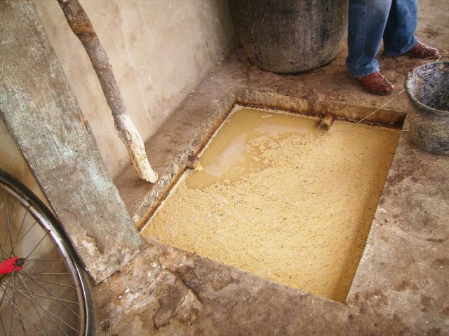 Mandioca em processamento — contexto do resíduo líquido (manipueira)